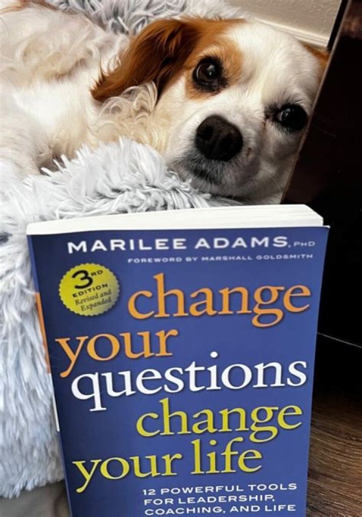 Change Your Questions, Change Your Life: Marilee Adams’ Powerful PDF Guide