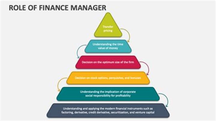The Evolving Role of Financial Managers: A Comprehensive PDF Guide