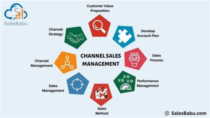 Master Channel Sales Management with This Essential PDF Guide