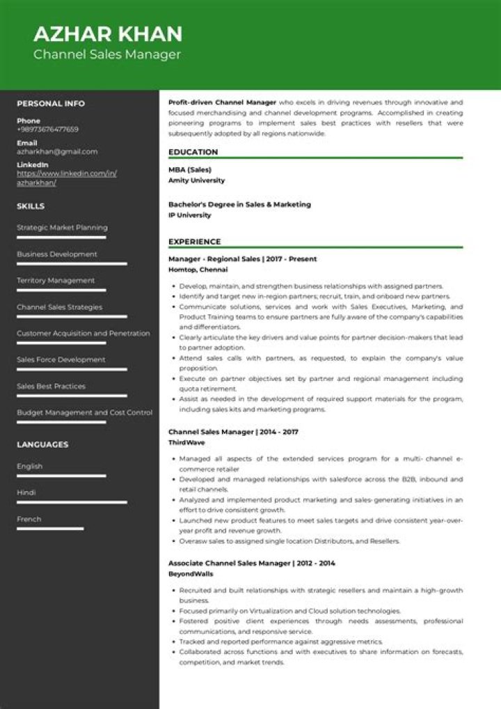 Channel Sales Manager Resume PDF for Immediate Download