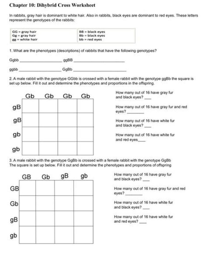Chapter 10 Dihybrid Practice Problems Answer Key PDF – Practice & Solutions