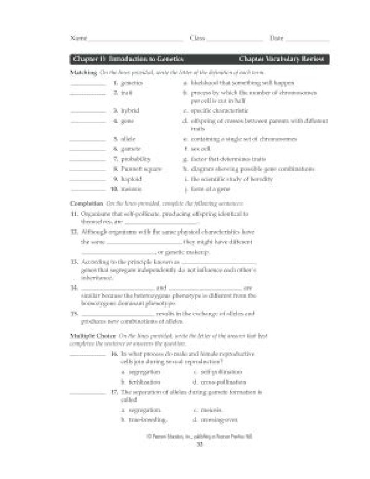 Chapter 11 Genetics Vocabulary Review Answer Key PDF – Answer Key & Study Guide