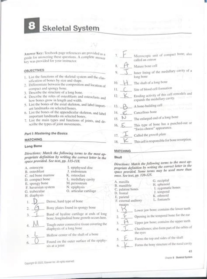 Chapter 5: The Skeletal System Answer Key PDF – Complete Study Guide