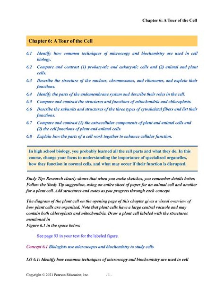 Chapter 6: A Tour of the Cell Answers PDF – Study Guide & Answers