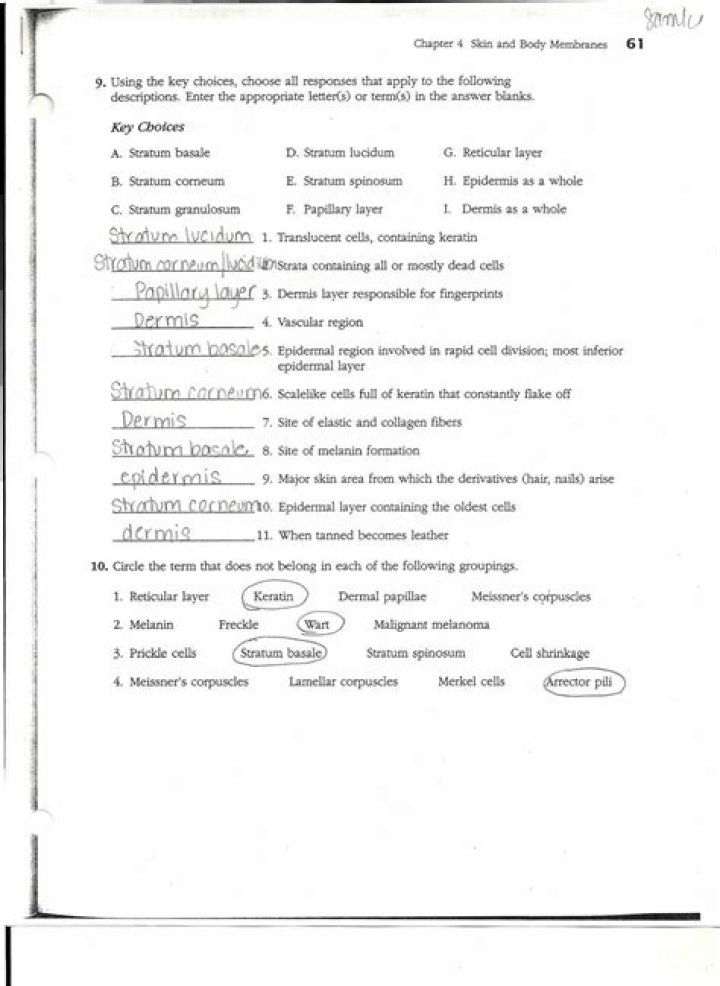 Chapter 6 General Anatomy & Physiology Answer Key PDF