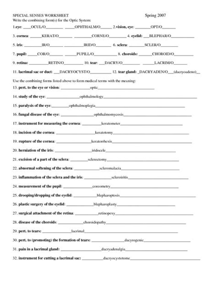 Chapter 8 Special Senses Answer Key PDF – Study Guide & Answers