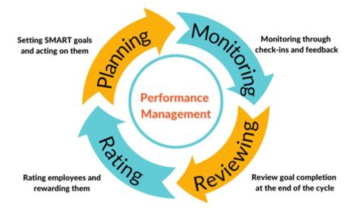 Key Characteristics of an Ideal Performance Management System PDF