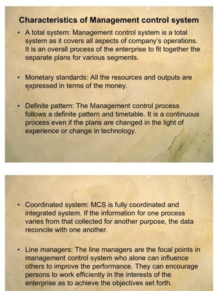 Key Characteristics of a Management Control System PDF Guide