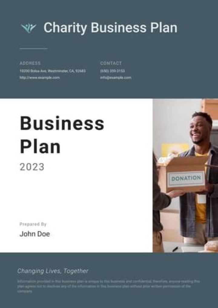 Charity Business Plan Example PDF for Success