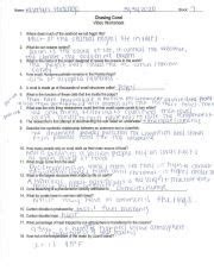 Chasing Coral Worksheet PDF: Educational Resource for Coral Reef Conservation
