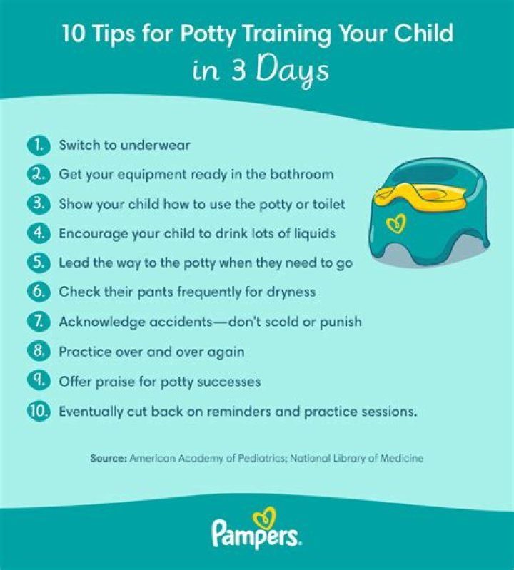3-Day Potty Training Cheat Sheet PDF: Quick & Effective Guide