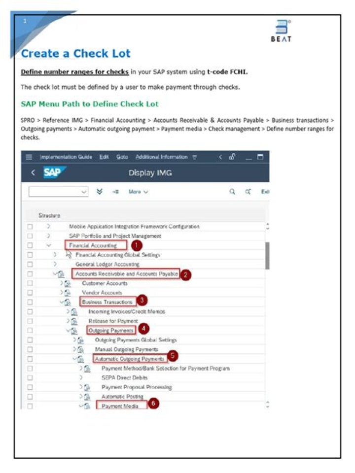Check SAP Management: Essential PDF Guide for Effective Control