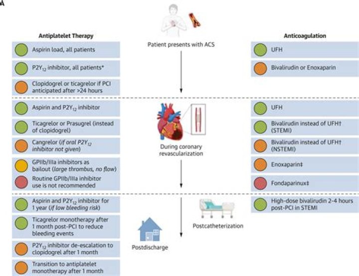 2022 Chest Antithrombotic Perioperative Management: Perioperative Antithrombotic Therapy Guideline PDF