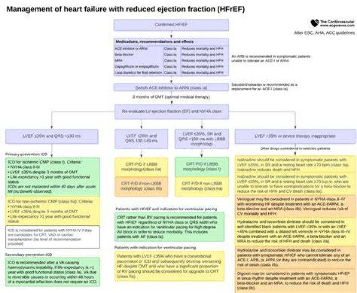Essential CHF Management Guidelines PDF: Complete Resource for Success