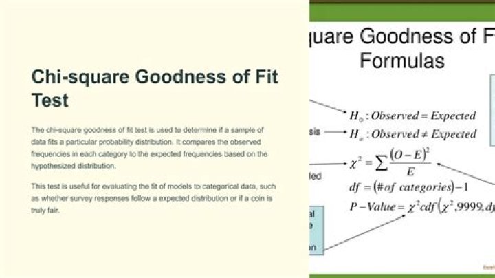 Chi Square Goodness of Fit Test Examples & PDF Worksheet | Step-by-Step Guide