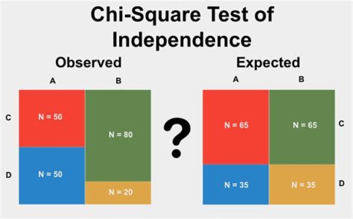Chi-Square Test of Independence: Practical Examples & Answers PDF