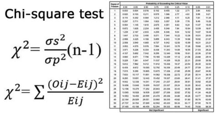 Chi Square Test Table PDF: Accurate Statistical Analysis Tool