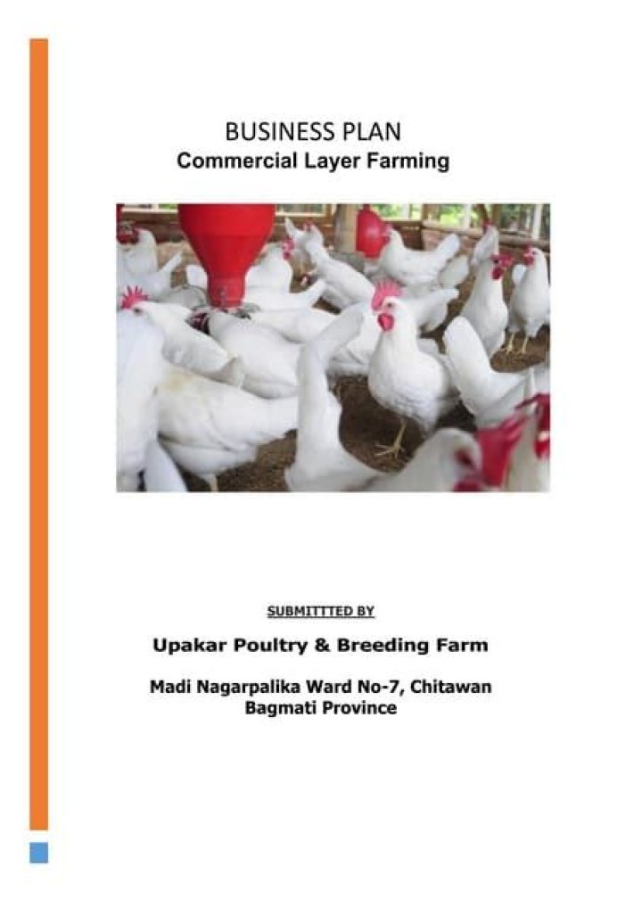 Chicken Business Plan PDF: Step-by-Step Guide to Starting Your Poultry Venture