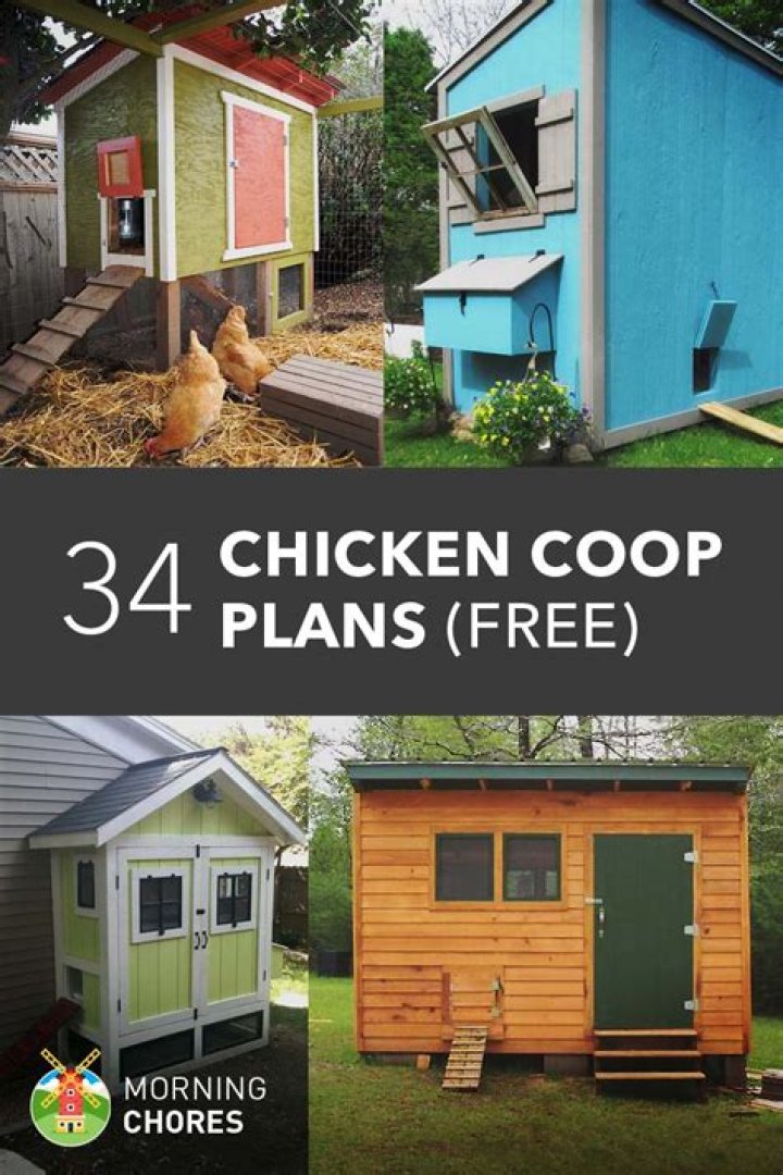 Free Chicken Coop Plans PDF – Download Now for Easy Building