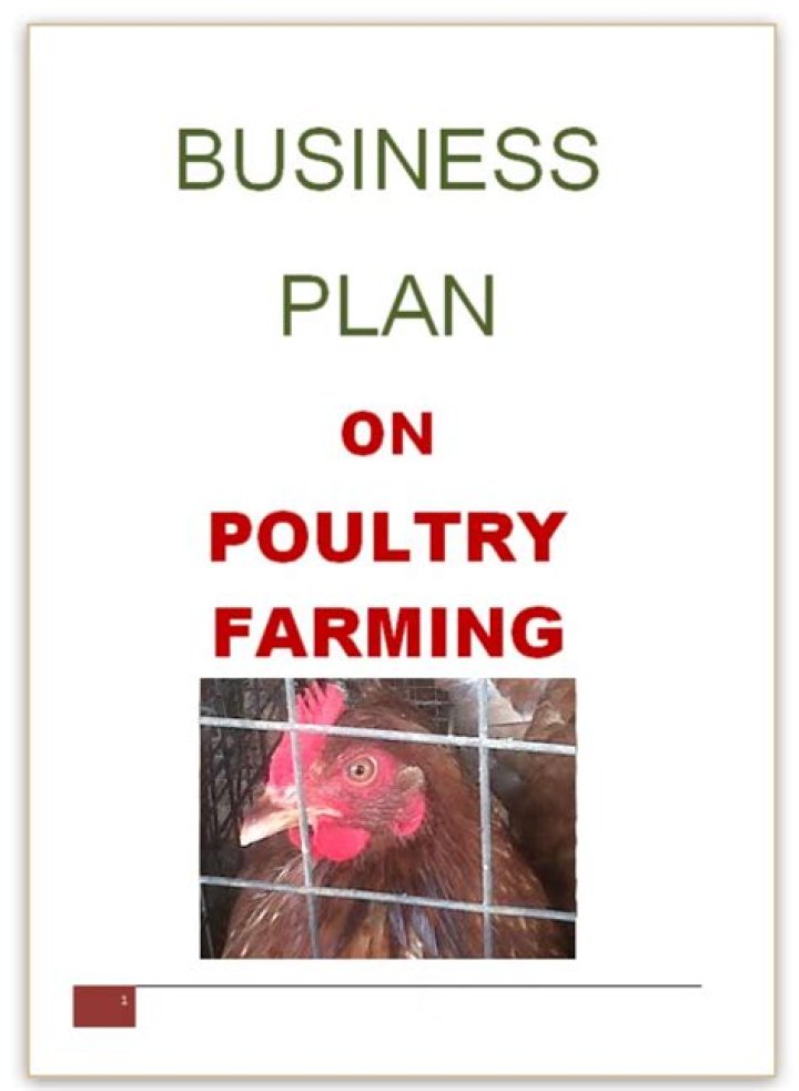 Complete Chicken Farm Business Plan PDF for Success