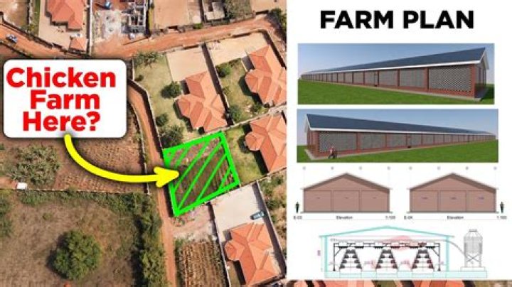 Chicken Farm Plan PDF: Full Step-by-Step Guide