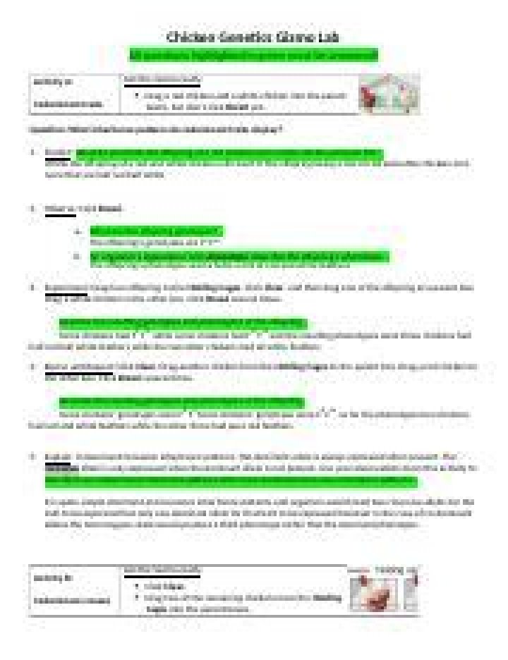 Chicken Genetics Answer Key PDF: Expert Answers & Study Guide