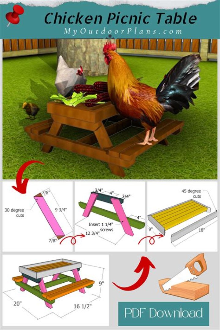 Chicken Picnic Table Plans PDF – Easy DIY Outdoor Feast Setup