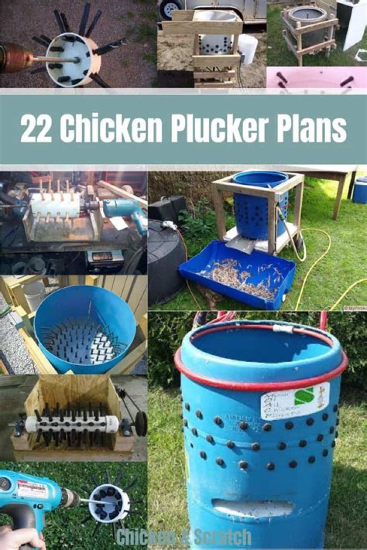 Chicken Plucker Plans PDF: Easy Guide to Modern Plucking Systems