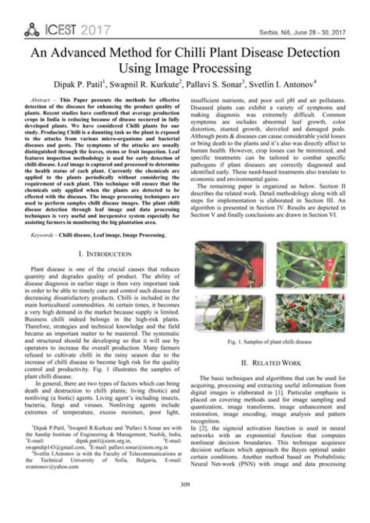 Chilli Disease Management PDF: Expert Guide to Prevention & Treatment