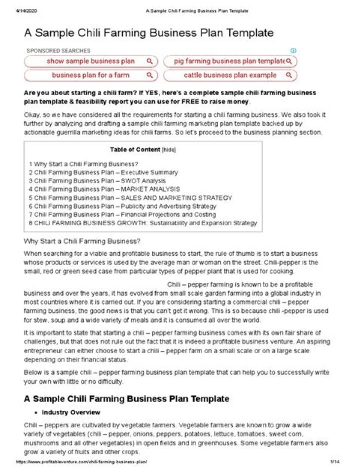 Complete Chilli Farming Business Plan PDF for Profitable Growth