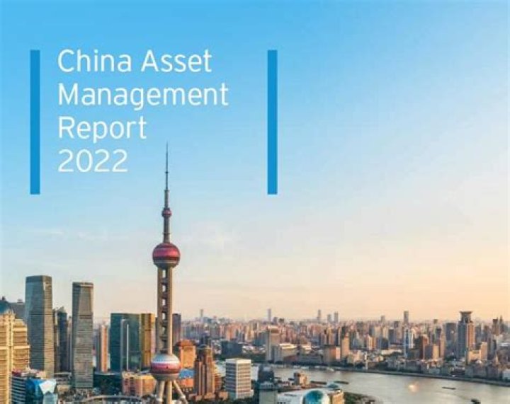 Comprehensive Overview of the China Asset Management Industry PDF