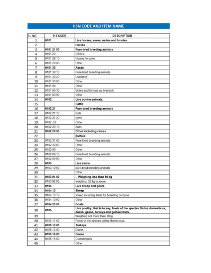 China HS Code List PDF: Complete Reference for International Trade