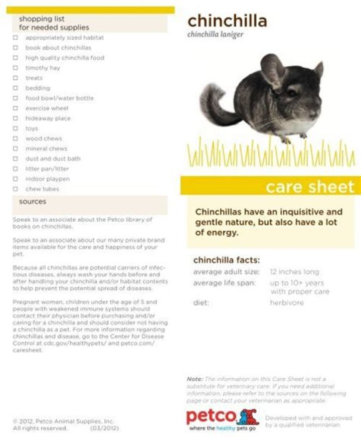 Chinchilla Care Sheet PDF: Complete Guide for Happy, Healthy Pets