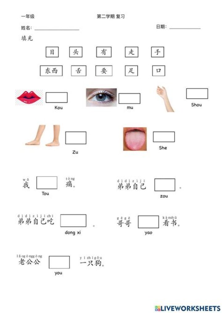 Chinese Worksheets for Primary 1 PDF – Free Printable Learning Resources