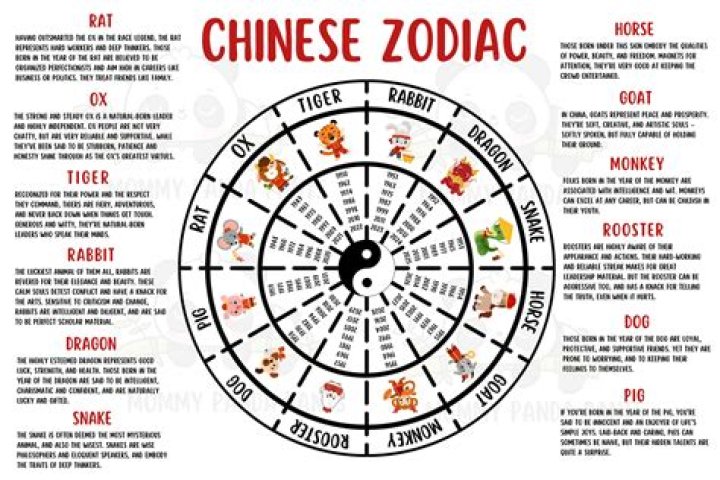 Complete Chinese Zodiac Information Sheet PDF for 2025