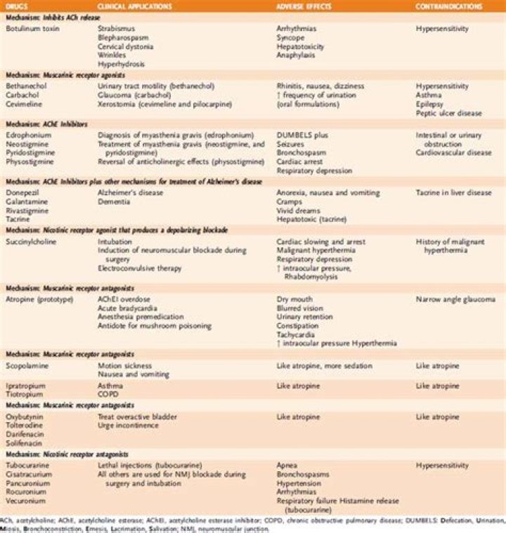 Cholinergic Drugs List PDF: Complete Guide to Medications & Uses