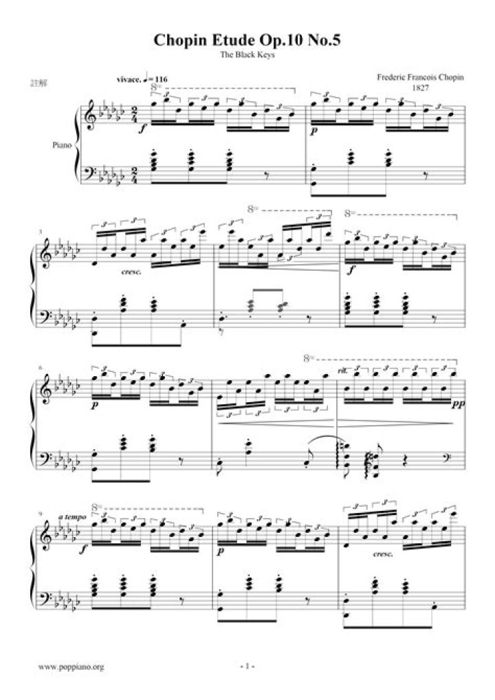 Chopin Etude Op 10 No 5 Sheet Music PDF – Download Free Sheet Music