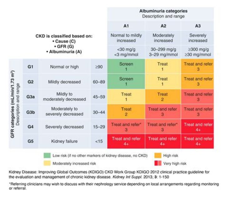 Chronic Kidney Disease & Risk Management 2024: ADA Guidelines PDF