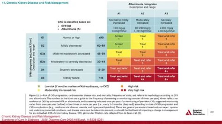 Chronic Kidney Disease 2024: ADA Guidelines & Risk Management PDF