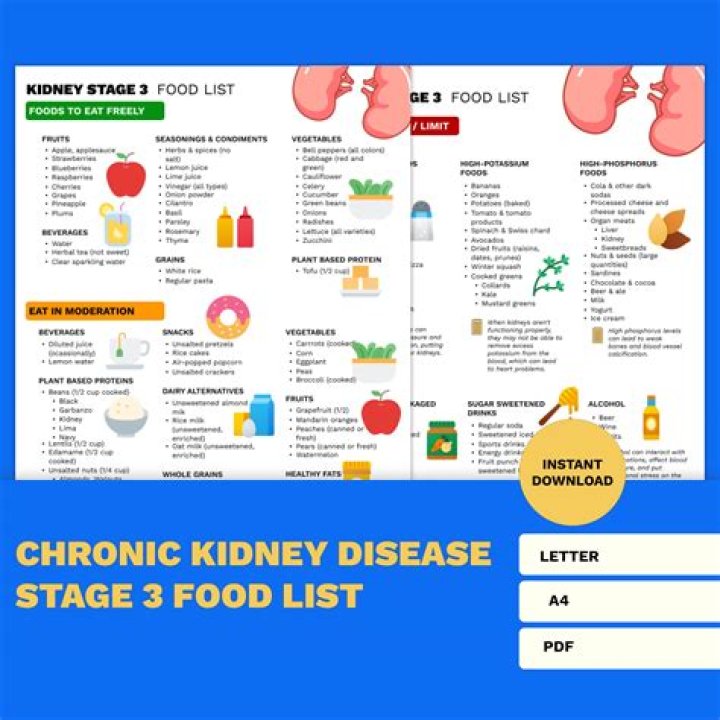 Essential Chronic Kidney Disease Diet Food List PDF for Managing Kidney Health