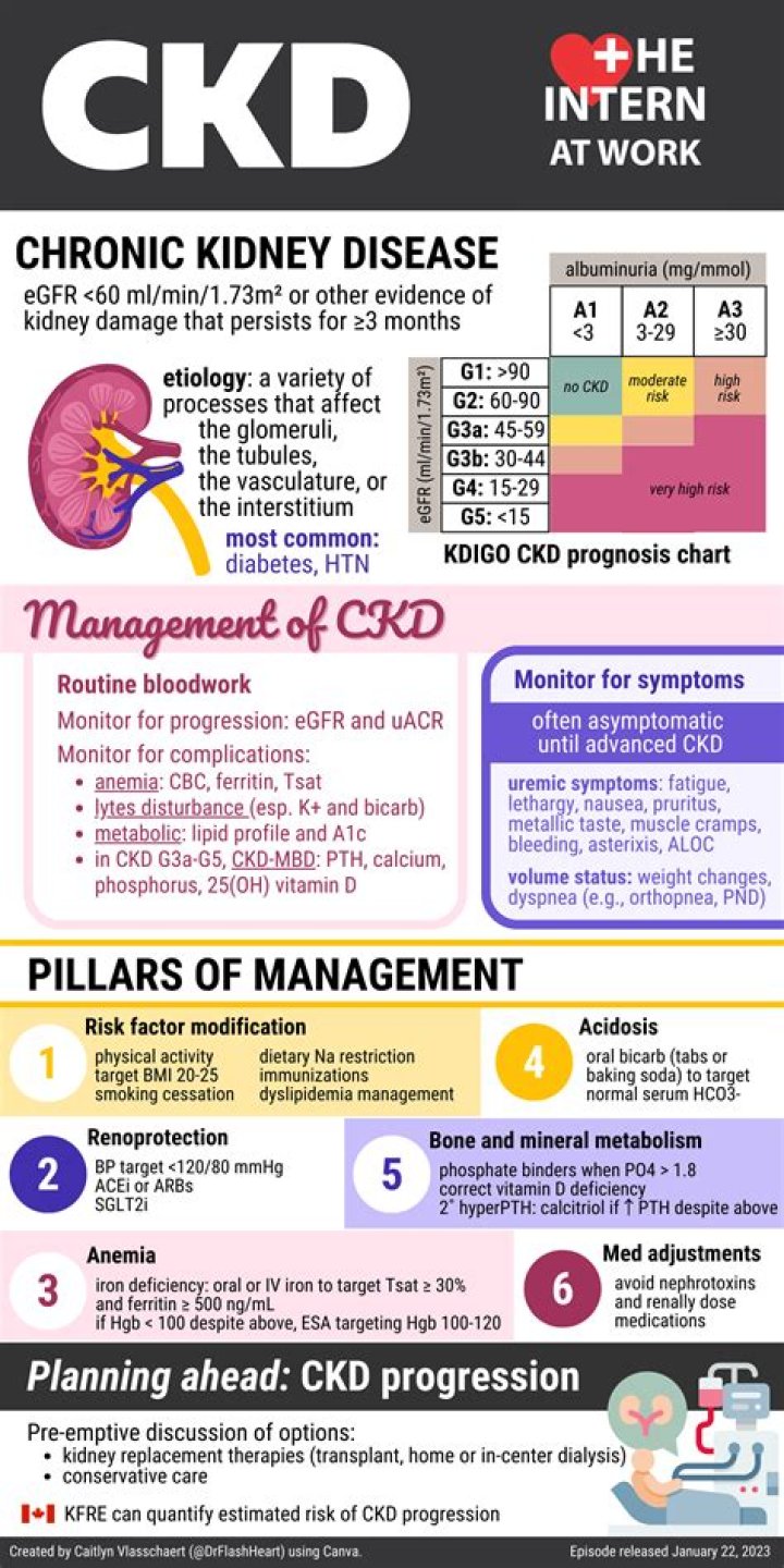 Comprehensive Guide to Chronic Kidney Disease Management PDF