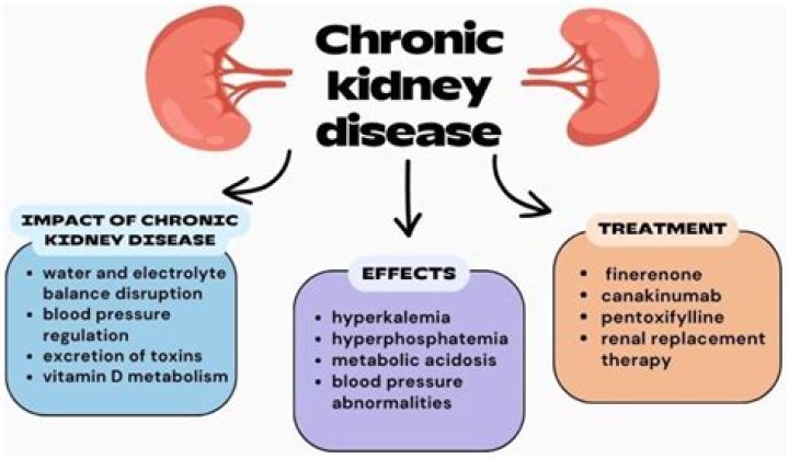 Comprehensive Chronic Renal Failure Management PDF Guide