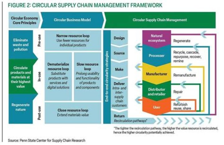 Circular Supply Chain Management PDF: Optimize Sustainability & Efficiency