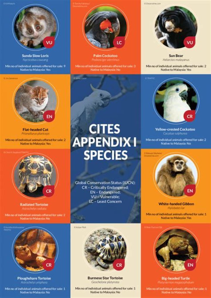 Cites Appendix 1 Species List PDF: Complete Biodiversity Reference