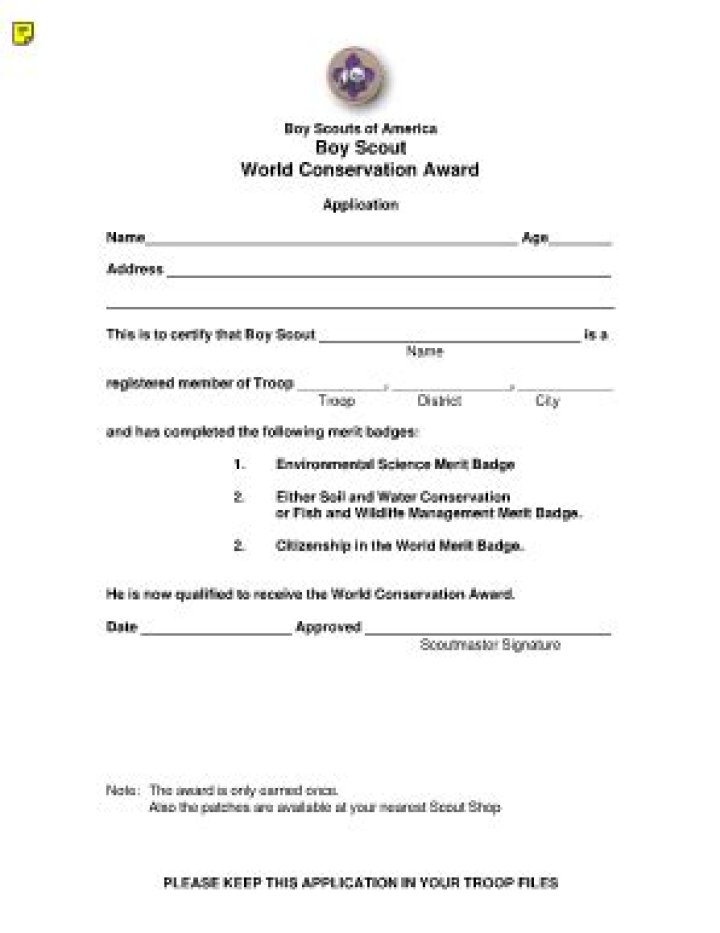 Citizenship in the World Merit Badge Worksheet PDF – Download Now