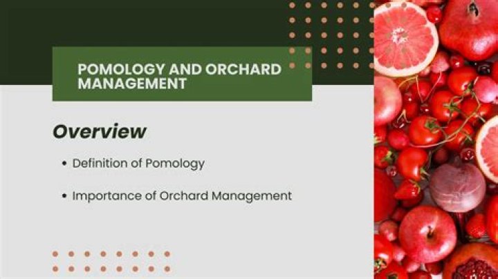 Citrus Orchard Management PDF: Expert Guide for Healthy Harvests