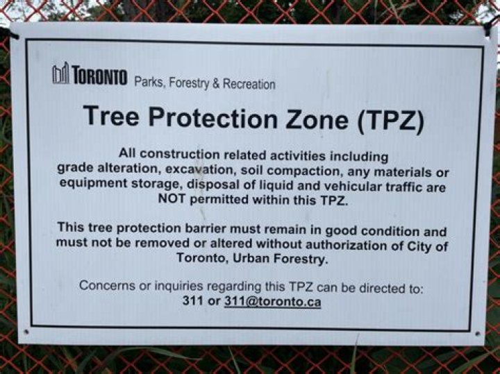 City of Toronto Tree List PDF: Complete Urban Forest Guide