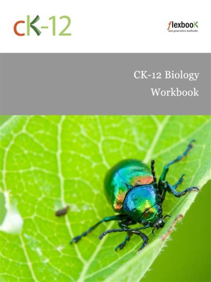 CK 12 Biology Workbook Answers PDF – Complete Solutions & Quick Revision