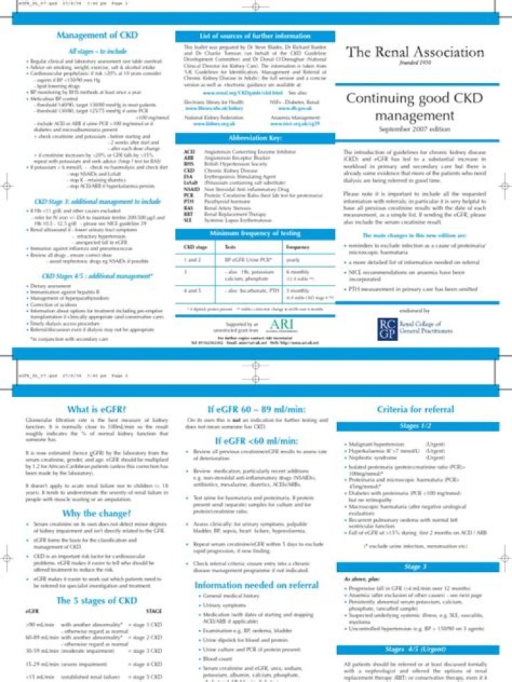 Essential CKD Management Guidelines PDF for Healthcare Professionals