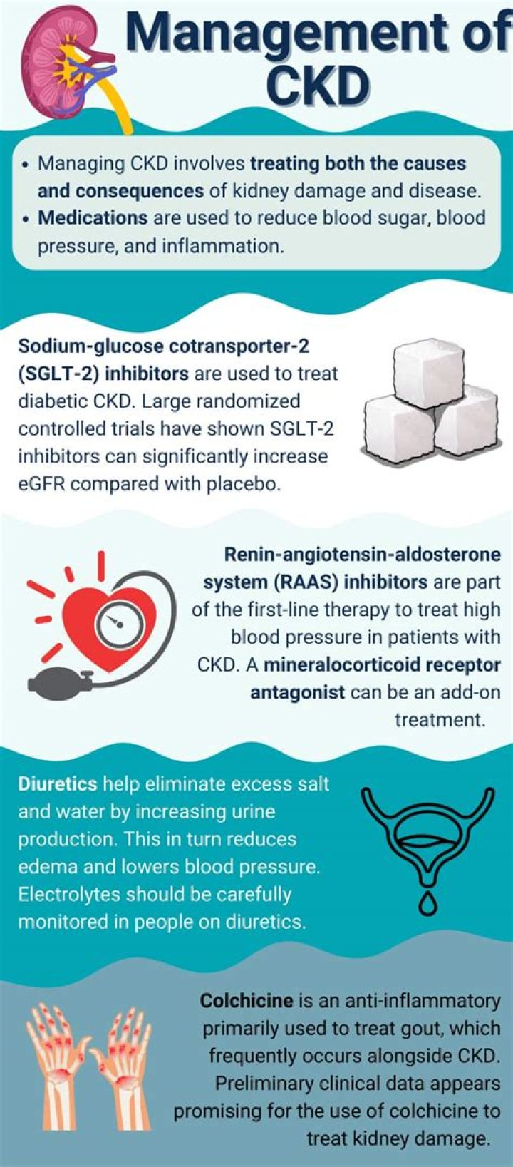 Complete CKDe Nutrition Management PDF Guide for Kidney Health